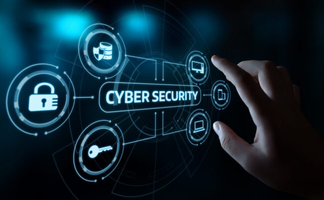 Cyber Security Consultant